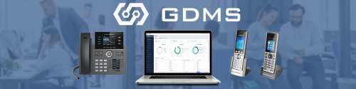 GRANDSTREAM GDMS BANNER