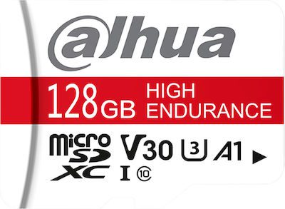 DAHUA TF S100 MICRO SD
